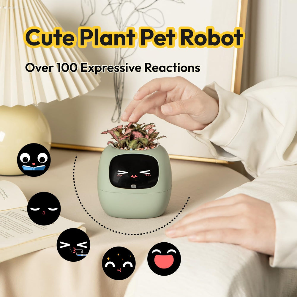 PLANTSIO Ivy indoor planter with small plants