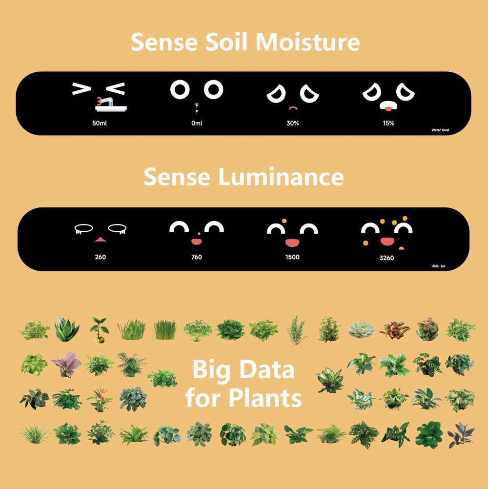 PLANTSIO Smart Pet Planter as a desktop decoration