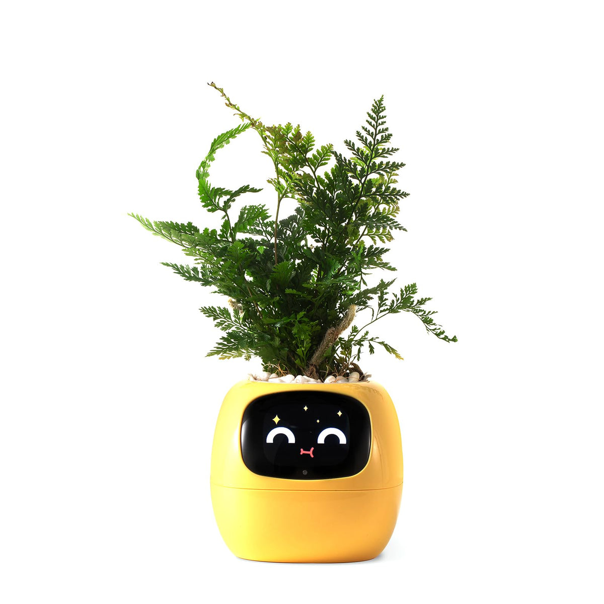 PLANTSIO Smart Pet Planter front view in yellow