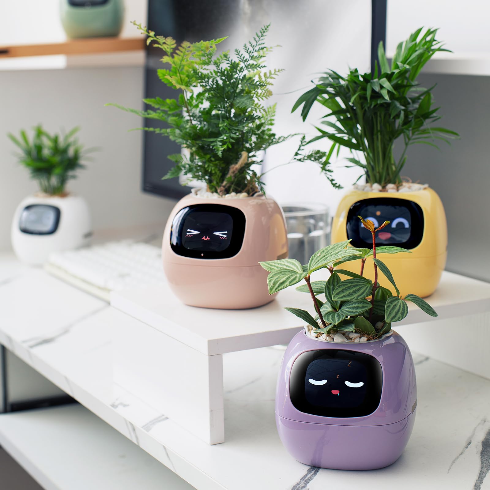 PLANTSIO Smart Pet Planter side view