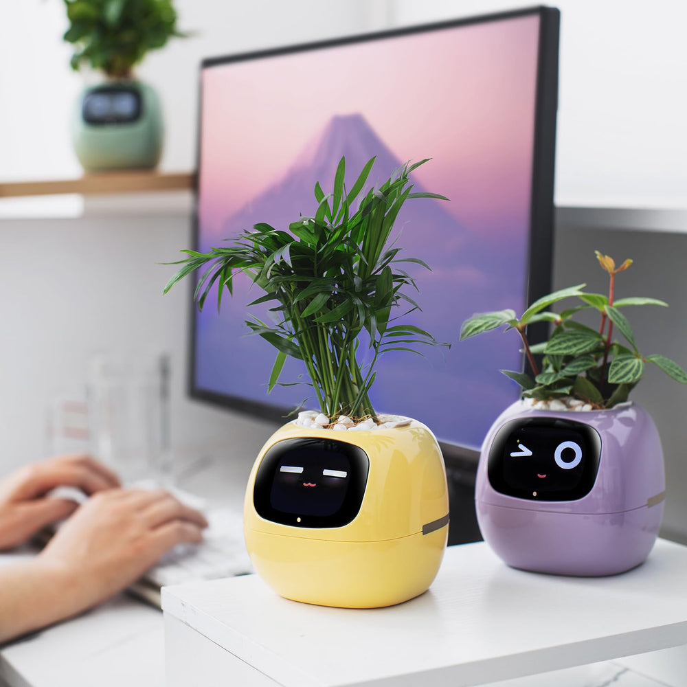 PLANTSIO Smart Pet Planter with digital photo frame mode
