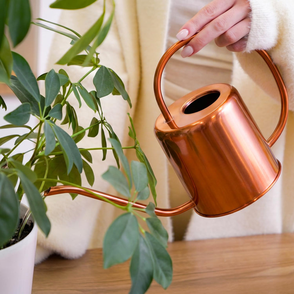 Plexon Rose Gold Watering Can side view showing capacity