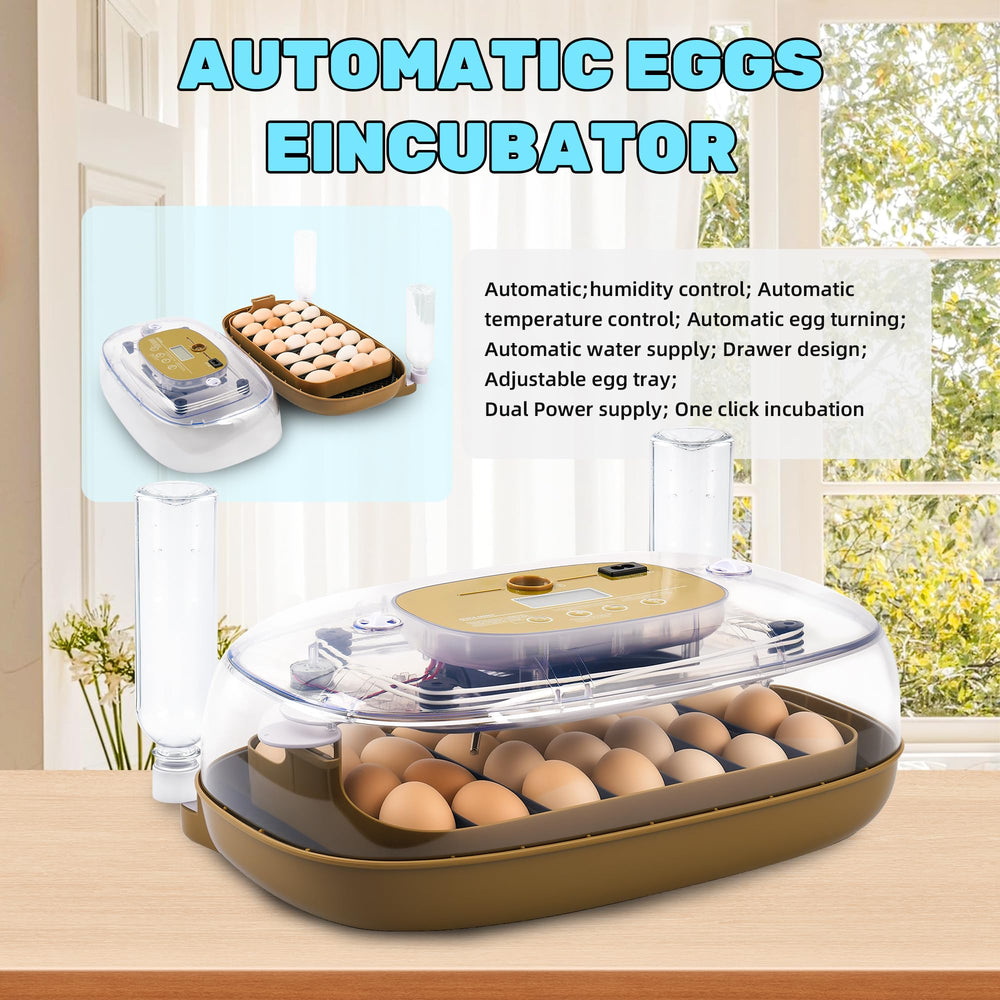Ploomi Egg Incubator packaging box with specifications