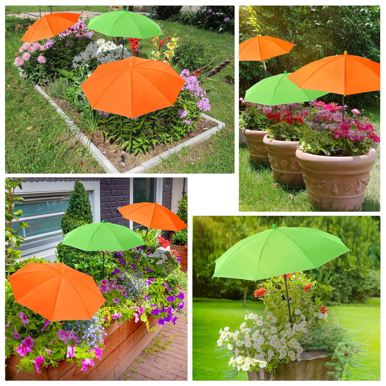 POILKMNI plant umbrella installation process demonstration