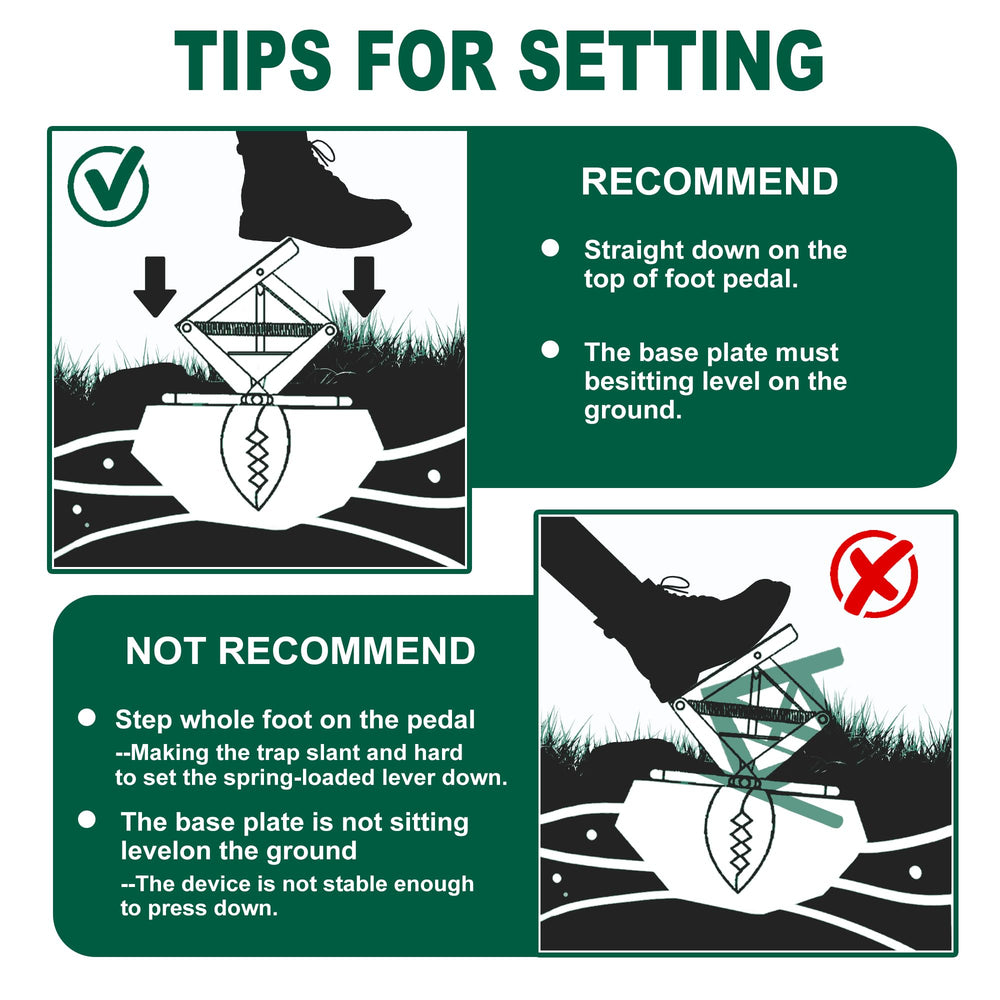 POlAFLEX Mole Trap in action, capturing a mole in garden