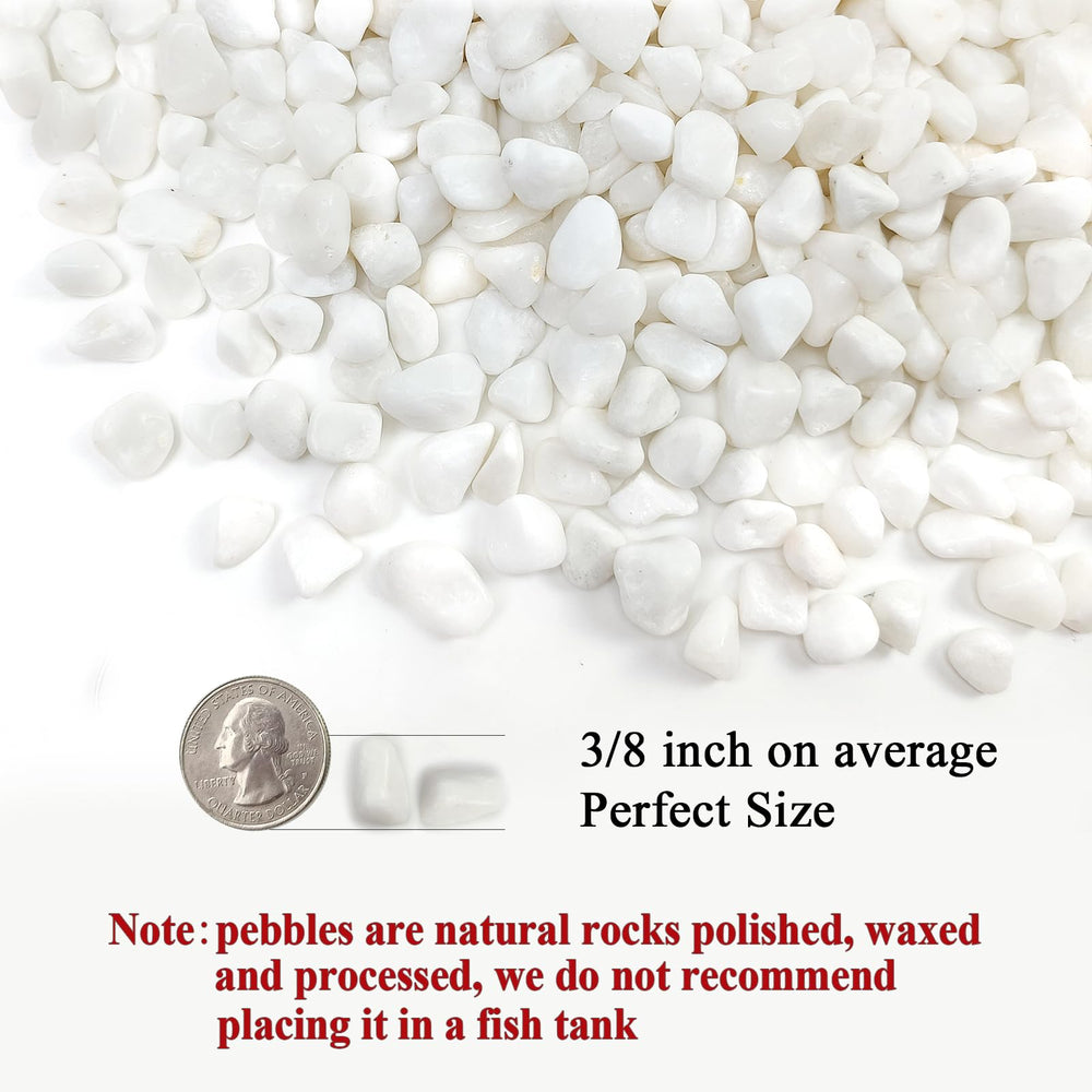 Polished white pebbles close-up showing smooth texture