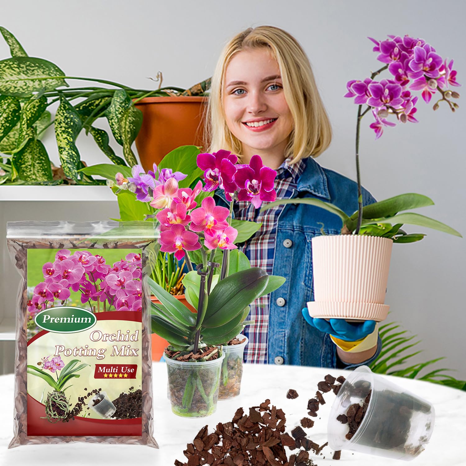 POLIUMB Orchid Bark Mix displayed with indoor plants