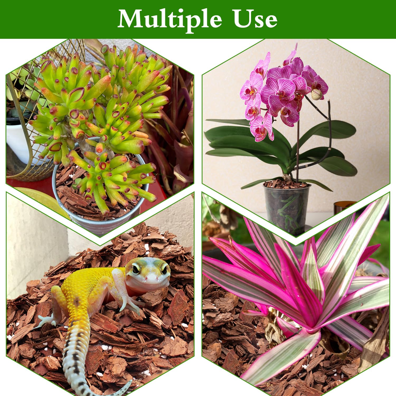 POLIUMB Orchid Bark Potting Mix in use with potted orchids