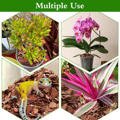 POLIUMB Orchid Bark Potting Mix in use with potted orchids
