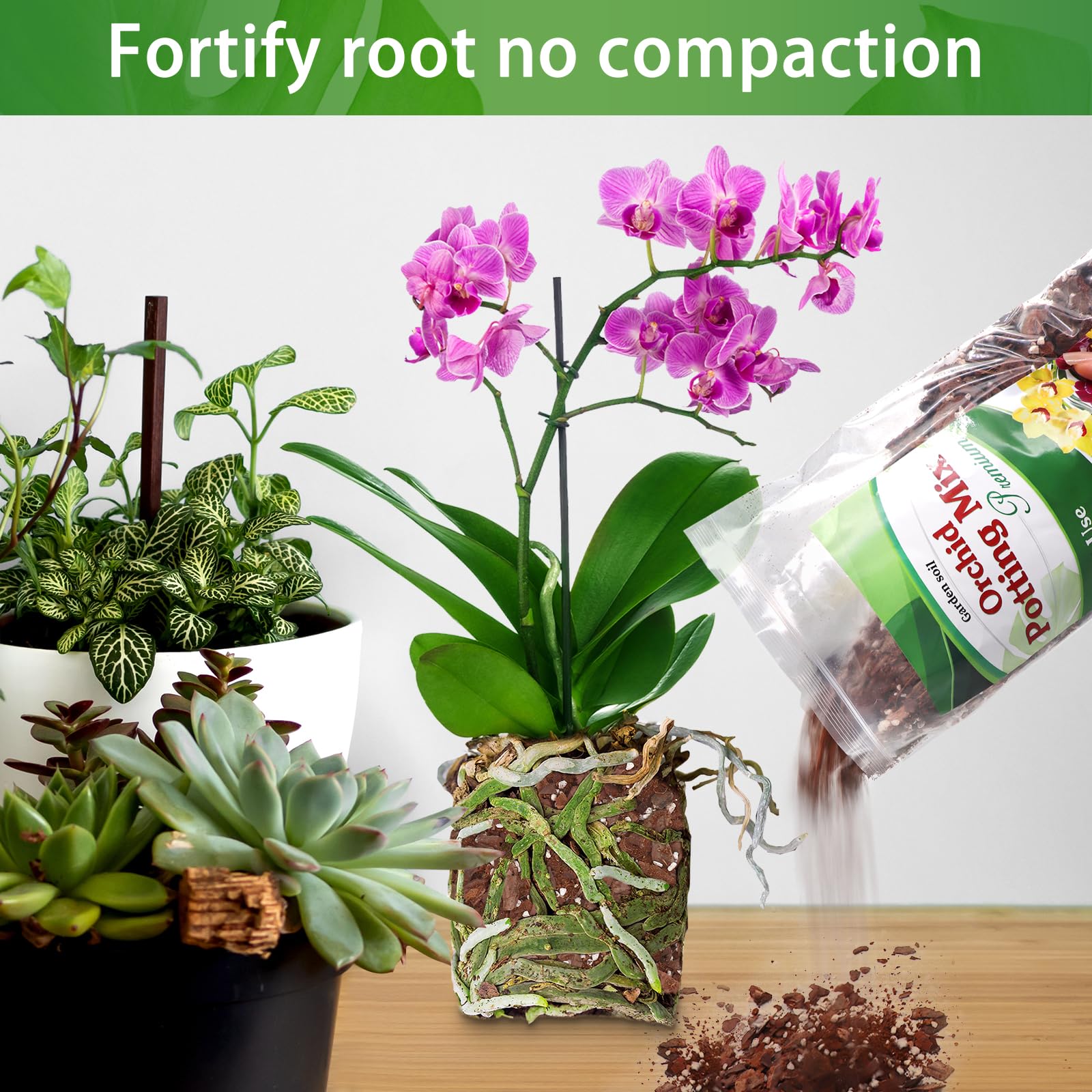 POLIUMB Orchid Potting Mix in a pot with orchids