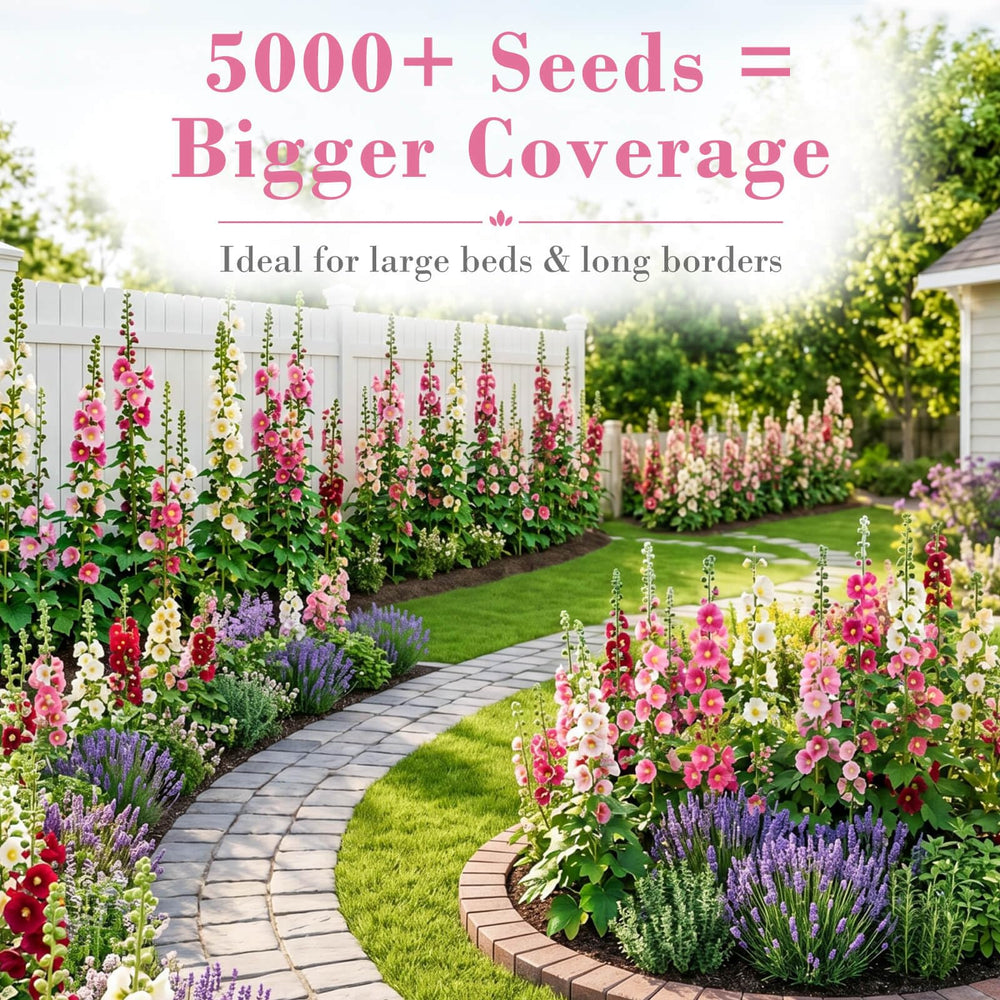 Pollinator-friendly hollyhock flowers attracting bees