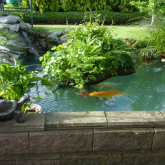 Pond Shield non-toxic epoxy paint in use