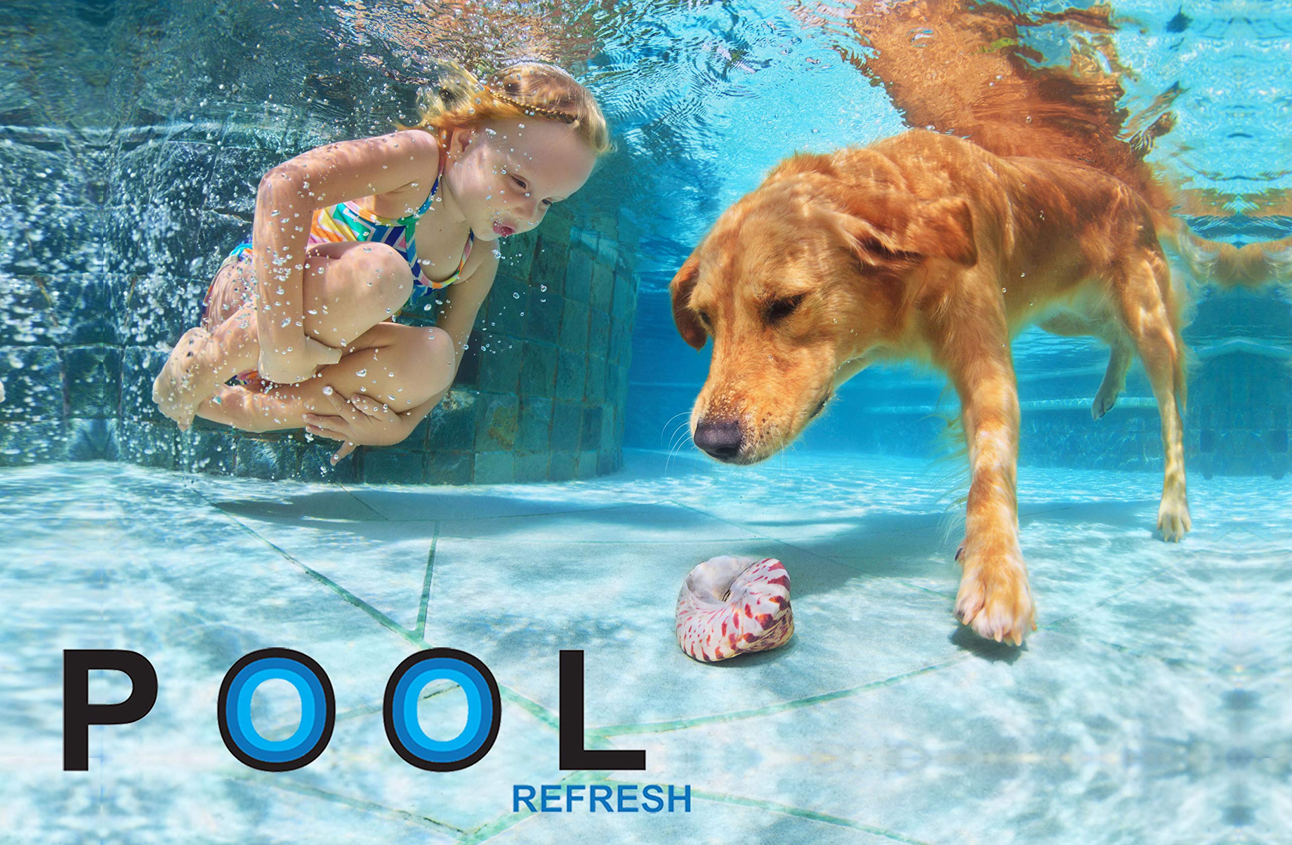 Pool Refresh in a backyard pool environment