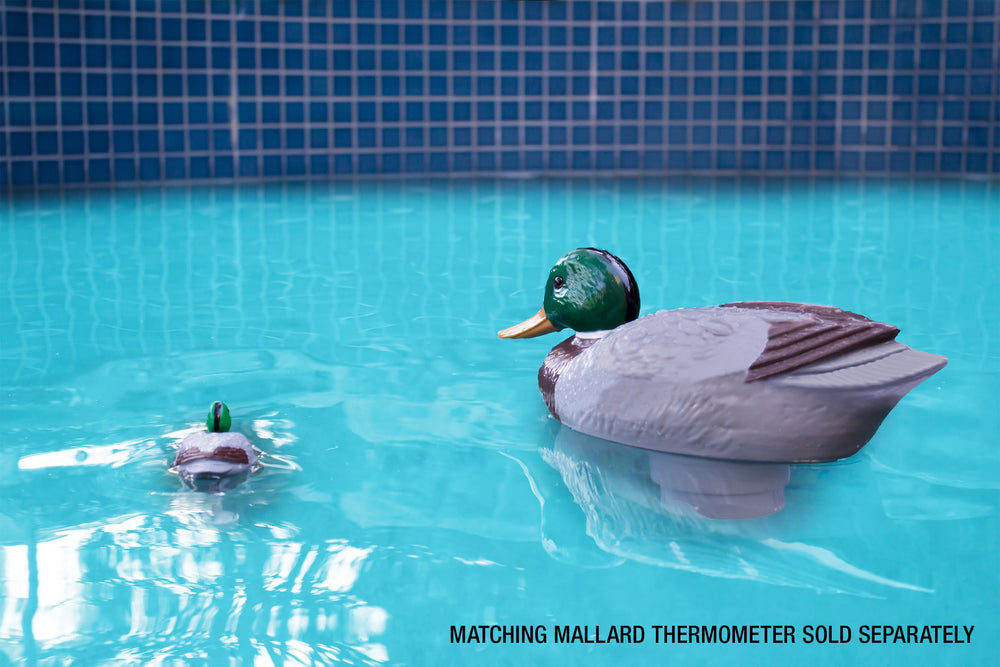Poolmaster duck chlorine dispenser floating in a pool