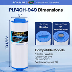 POOLPURE 4CH-949 Spa Filter top with handle