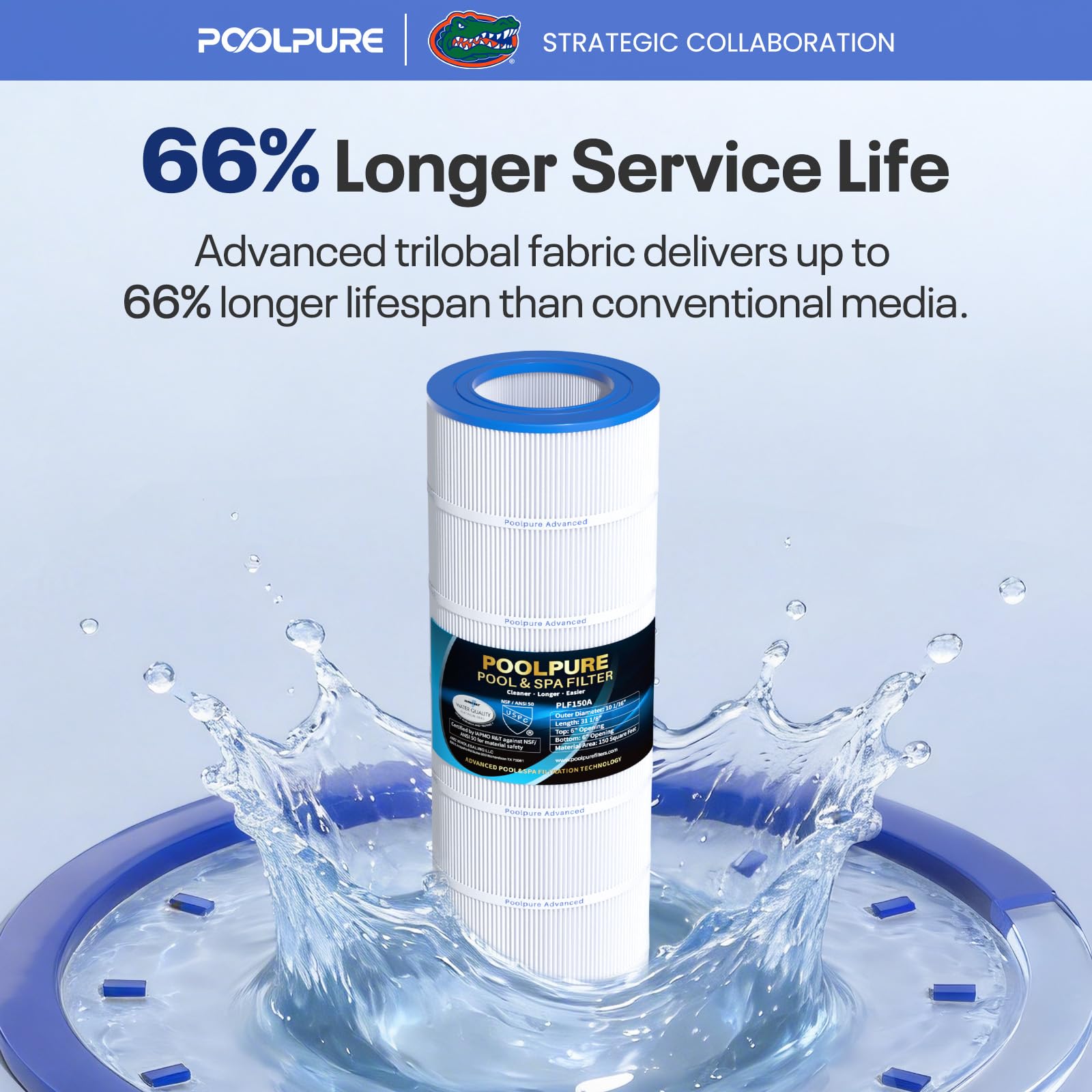 POOLPURE CC150 Pool Filter from above