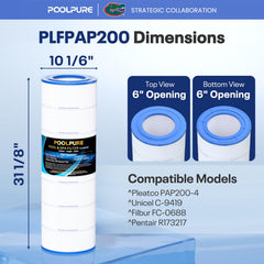 POOLPURE PAP200 Pool Filter Cartridge top view