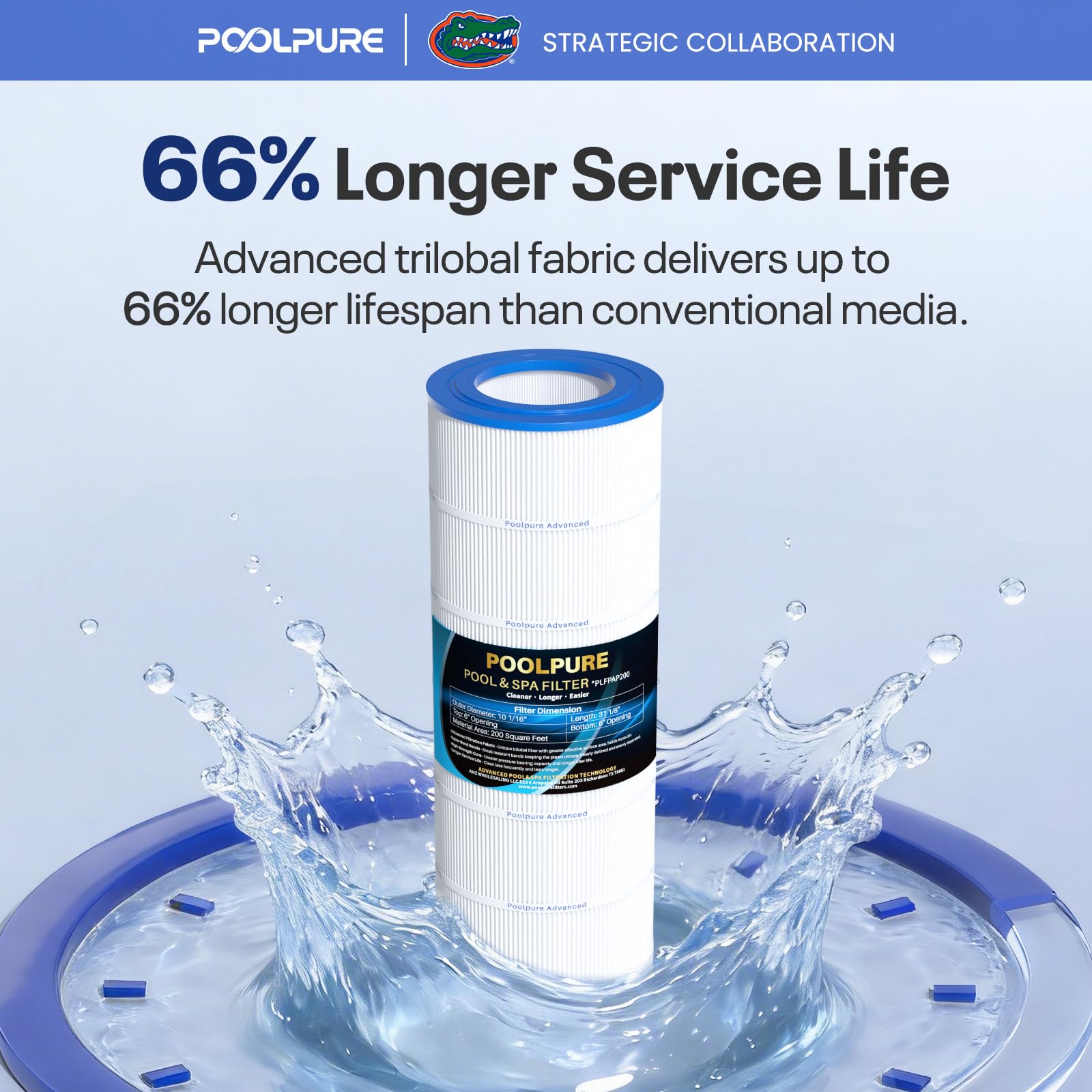 POOLPURE PAP200 Pool Filter Cartridge with specifications