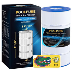 POOLPURE PXST100 Pool Filter, front view