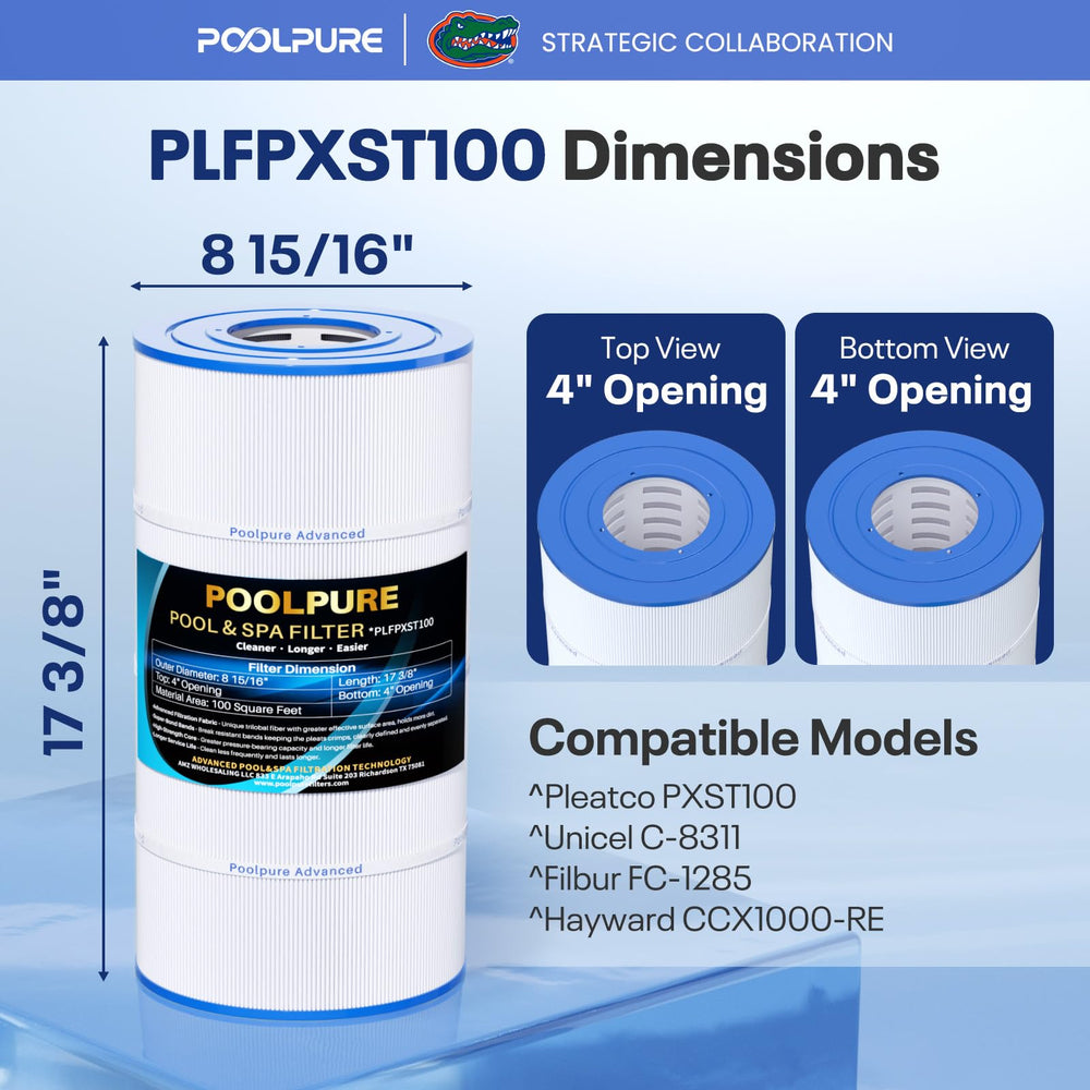 POOLPURE PXST100 Pool Filter, top view