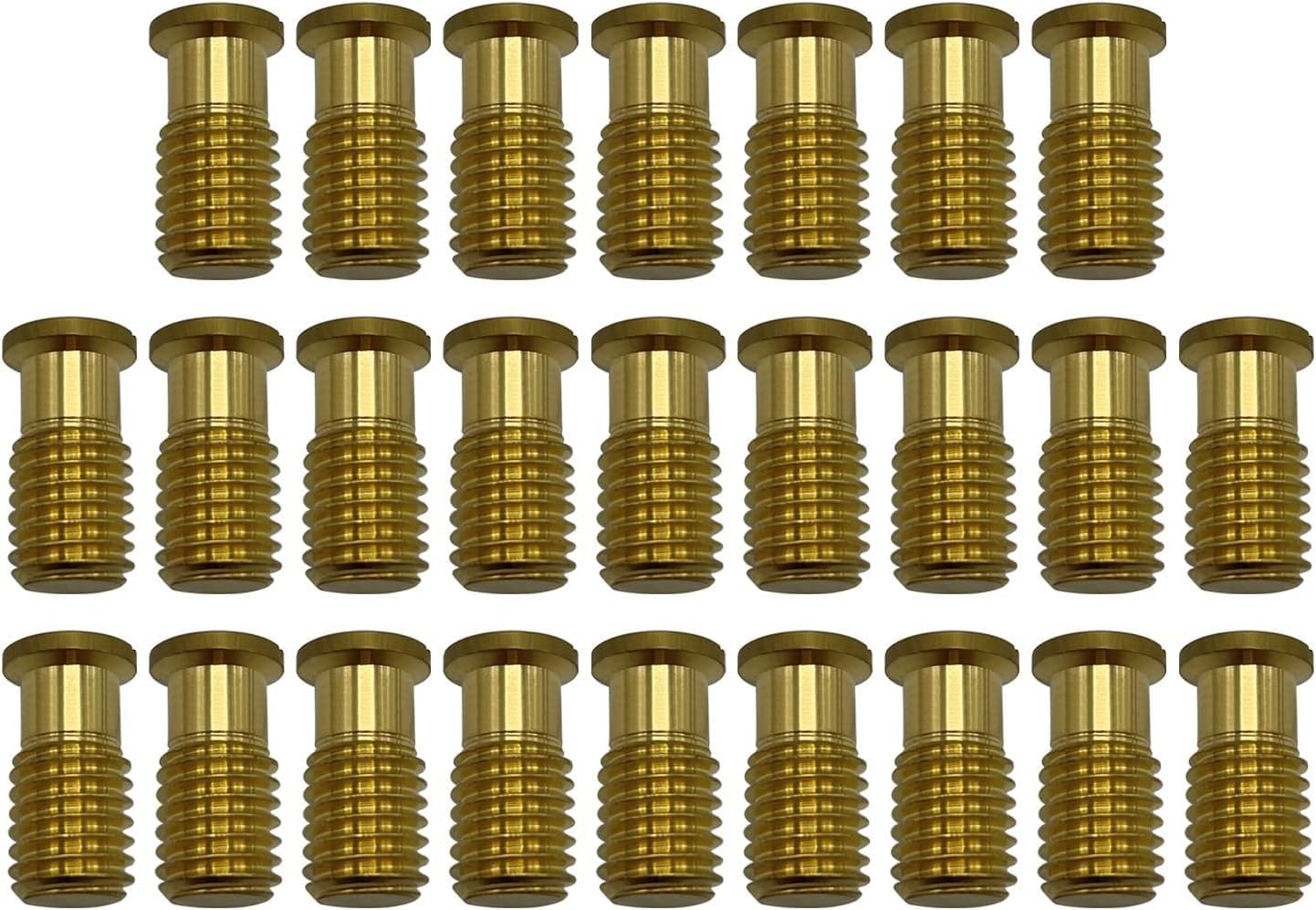 Poolzilla 25 pack of brass screw bolts for pool cover