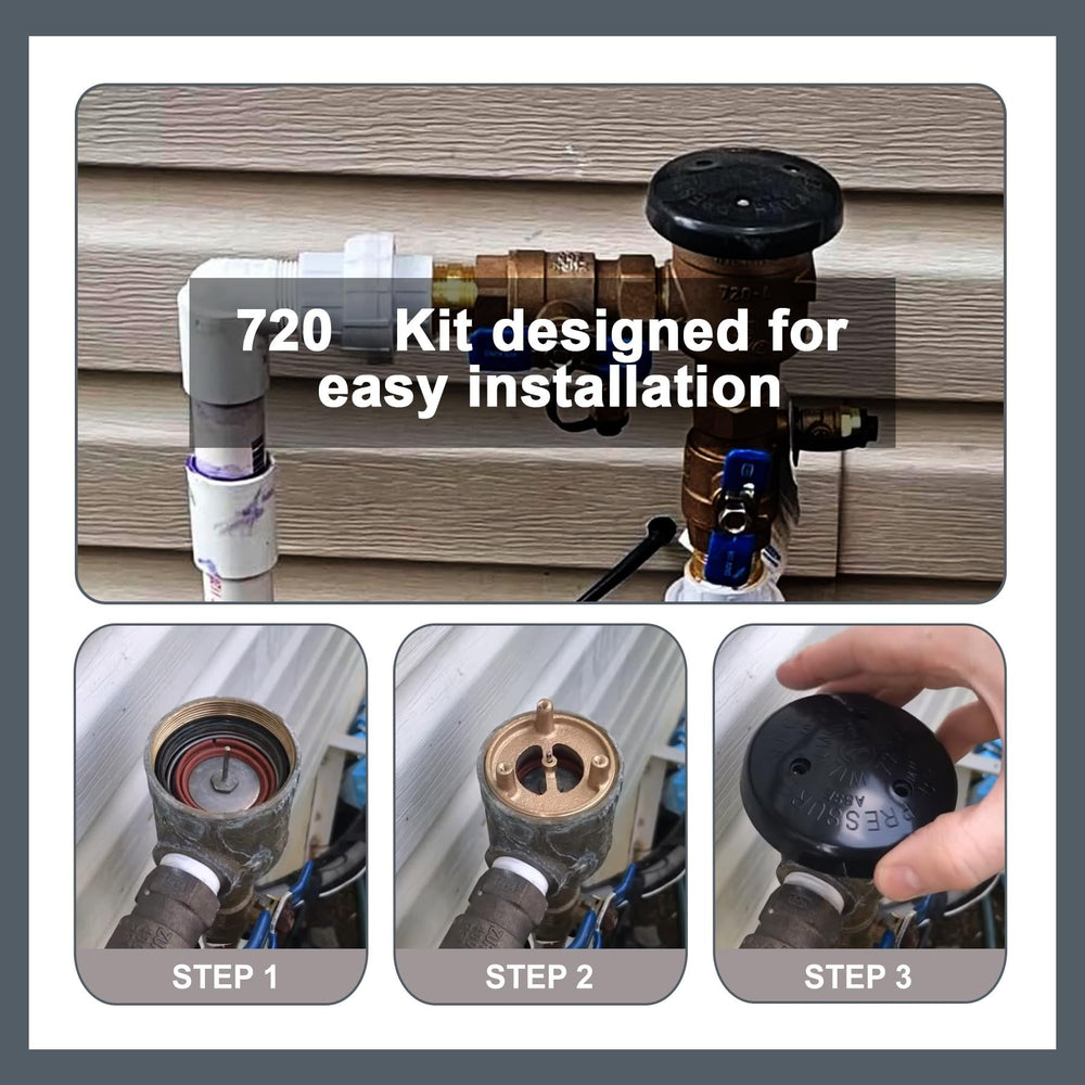 Poppet valves and springs included in repair kit