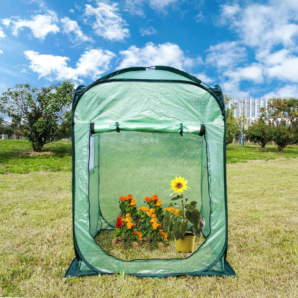 porayhut Pop Up Greenhouse Tent with plants inside