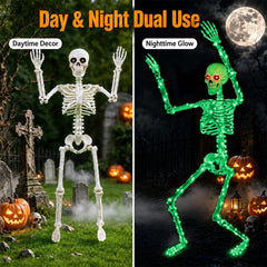 Poseable Starweeks skeleton in a seated position, displaying realistic bone texture