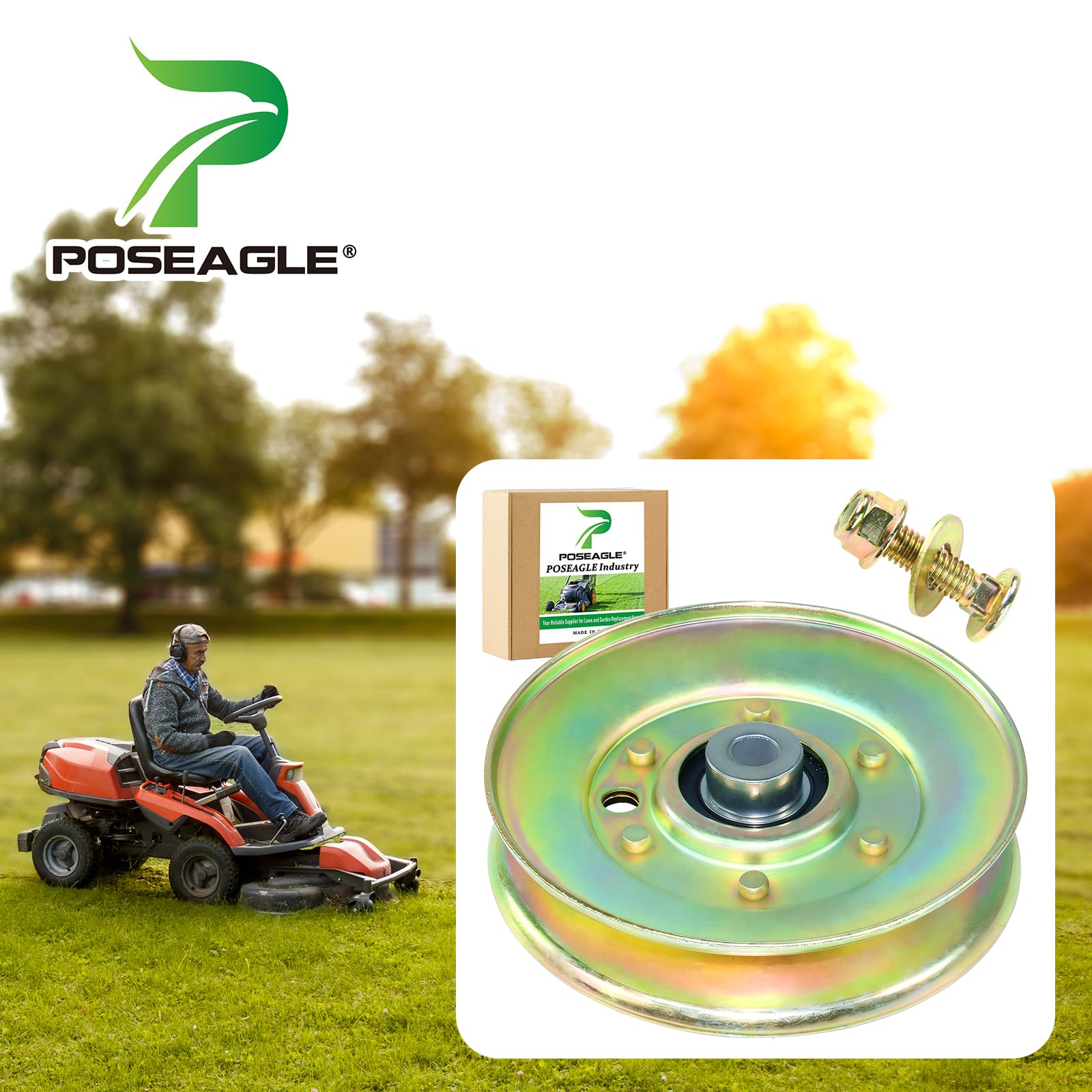 POSEAGLE 189993 Idler Pulley with hardware kit