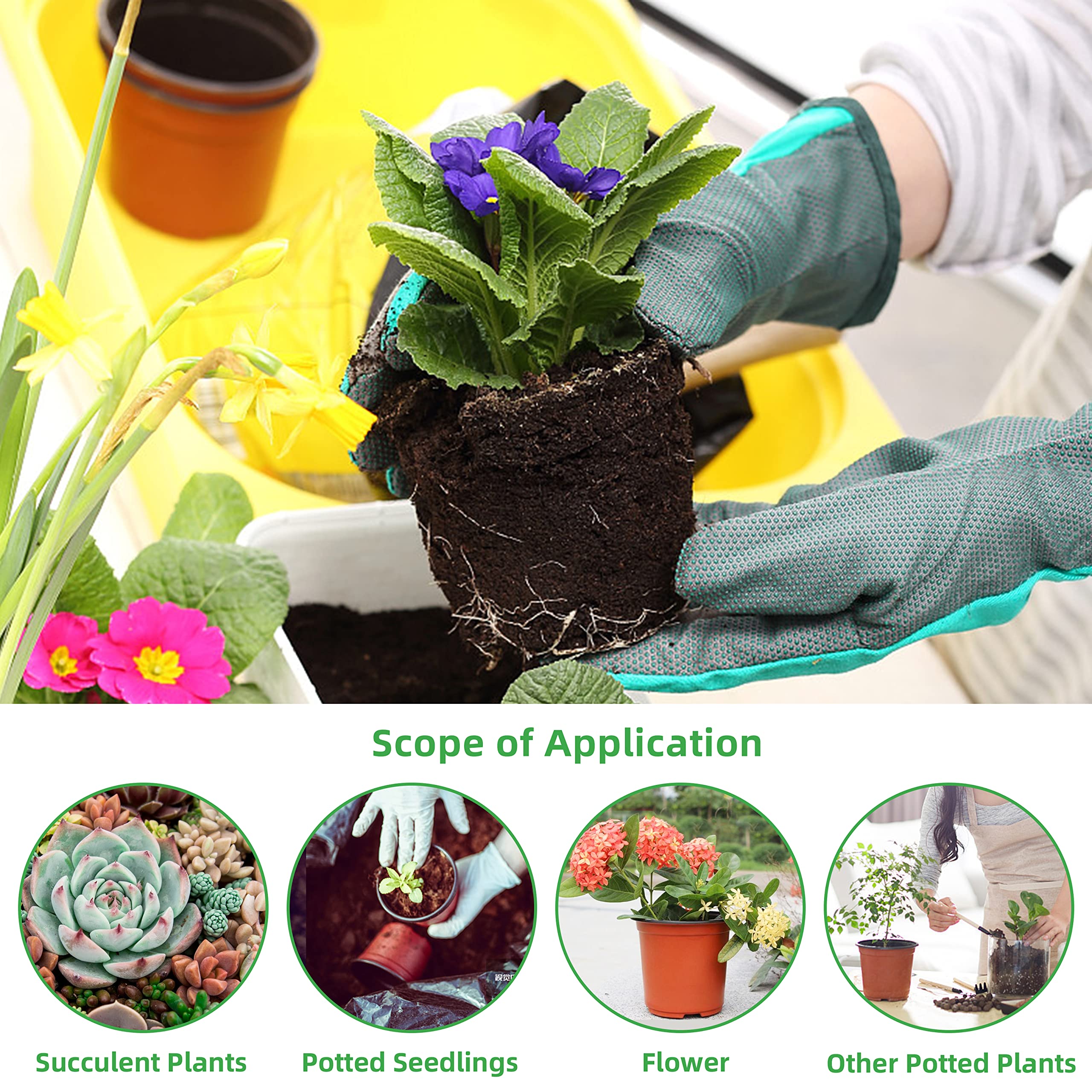 Pots with labels for plant identification