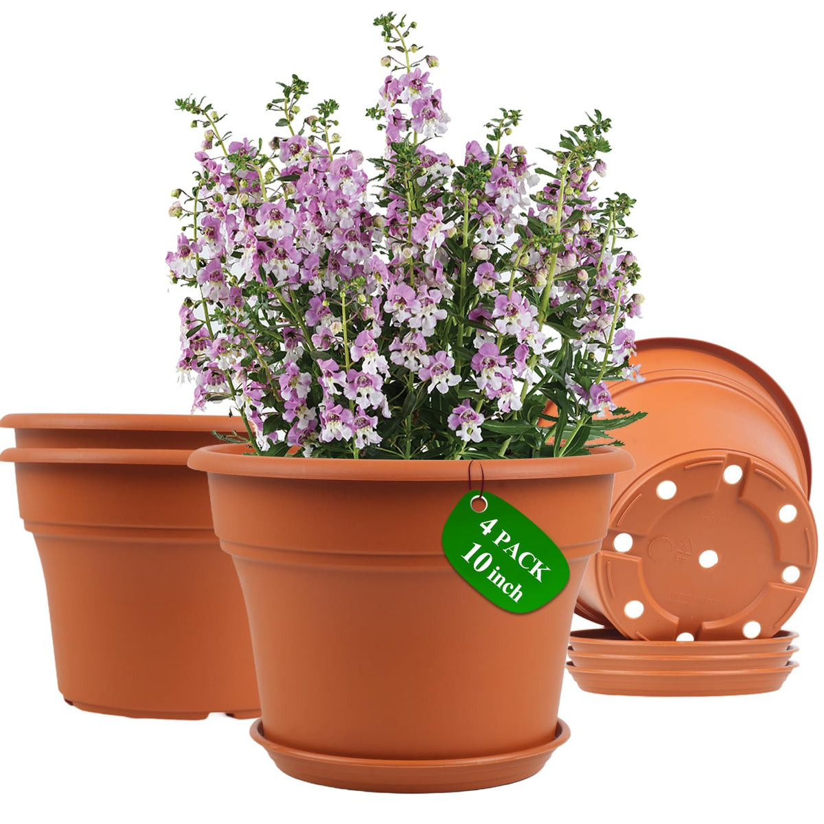 Pottiffe 10 inch terracotta planter pot front view
