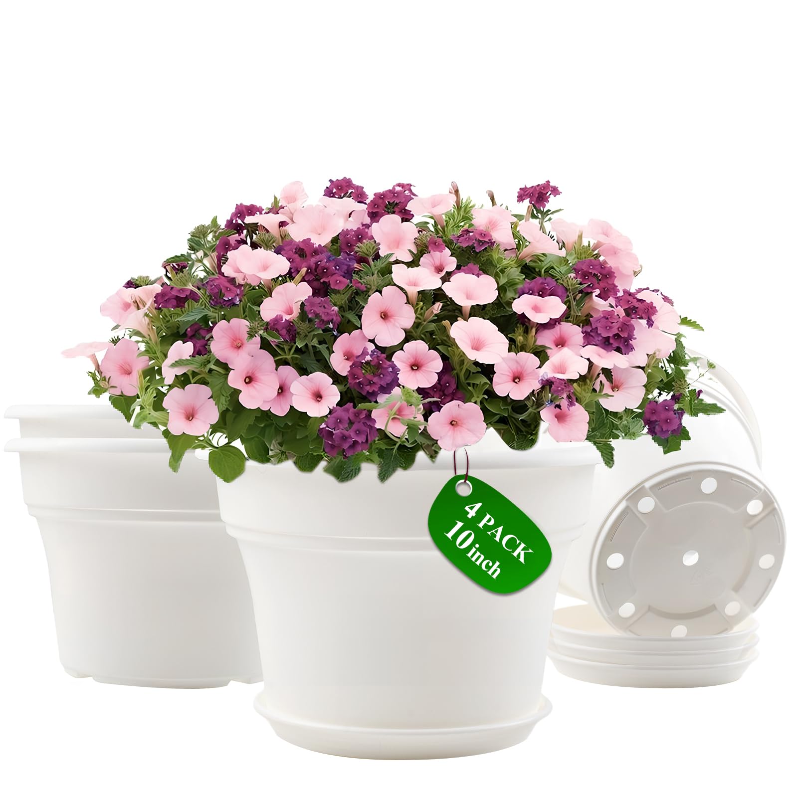 Pottiffe 10 inch white planter front view with saucer