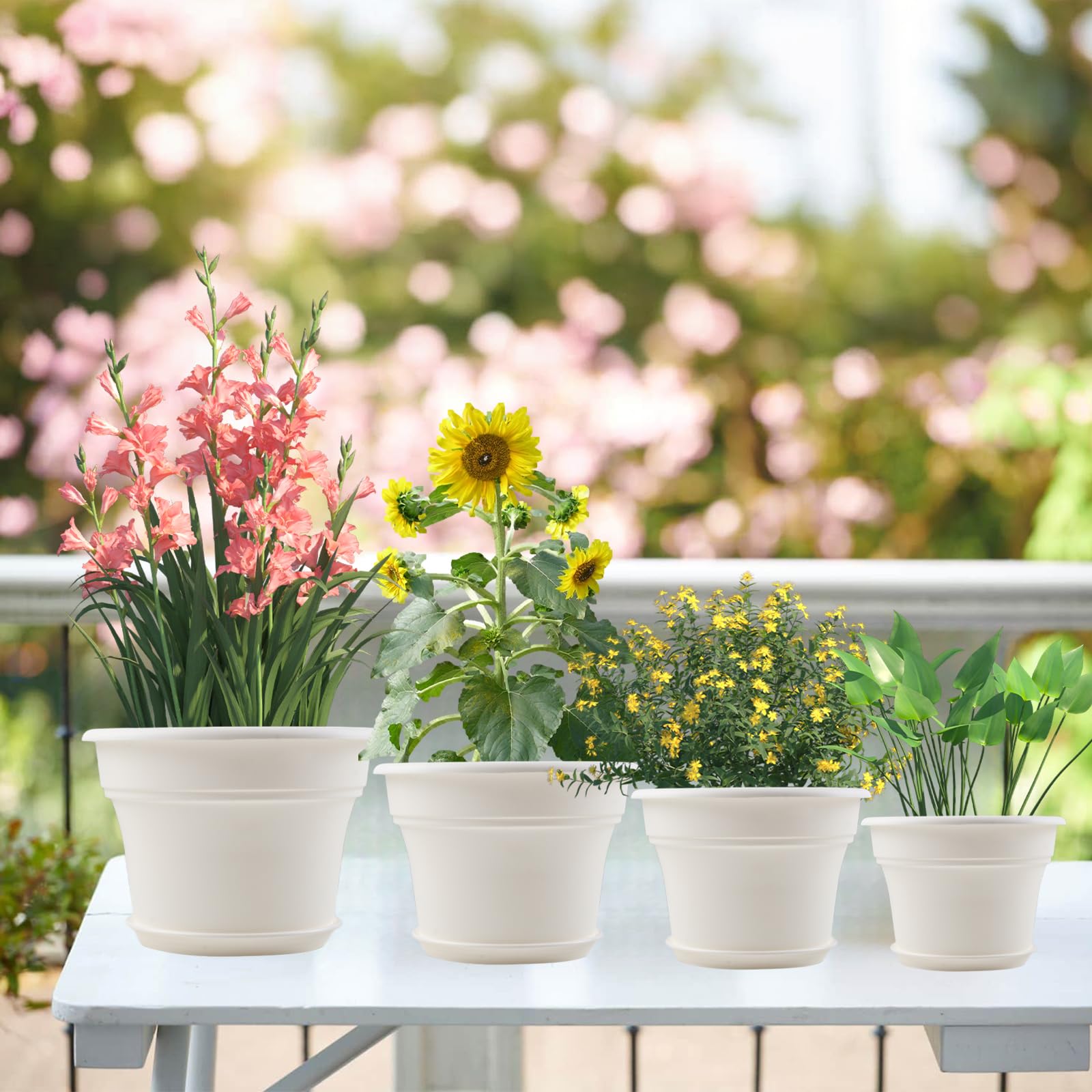 Pottiffe 10 inch white planter with multiple sizes comparison