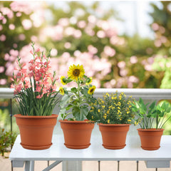 Pottiffe 16 Inch Terracotta Planter with saucer