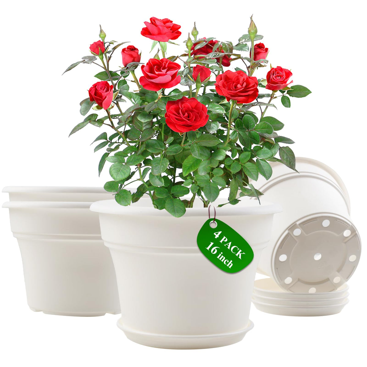 Pottiffe 16 inch white plant pot front view