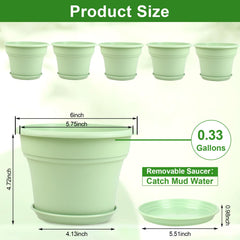 Pottiffe 6 inch green planter filled with succulents