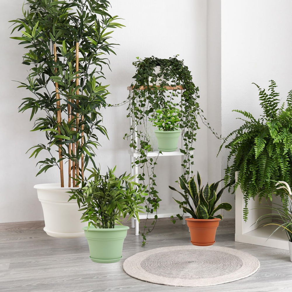 Pottiffe 6 inch plant pot showcasing drainage holes
