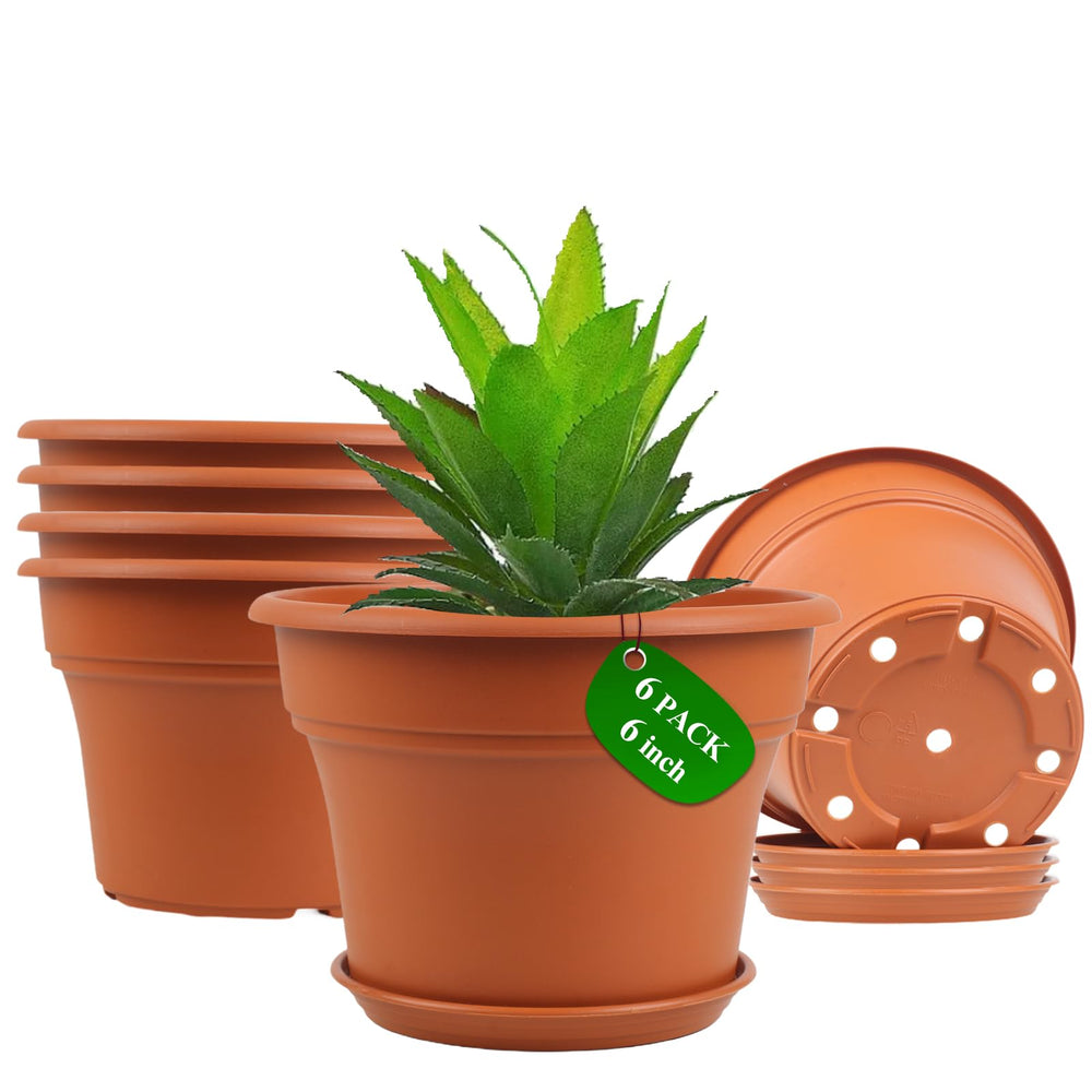 Pottiffe 6 inch terracotta plant pot front view