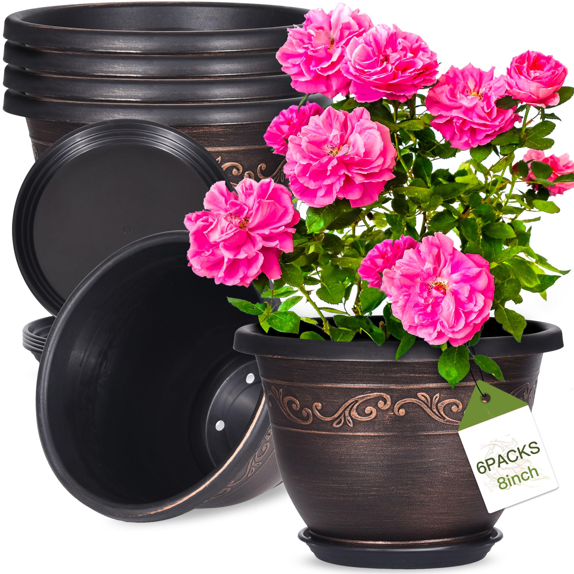 Pottiffe 8 Inch planter with saucer, front view