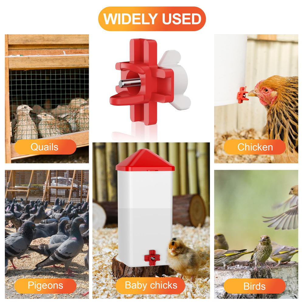 Poultry enjoying fresh water from ZenxyHoC automatic waterer