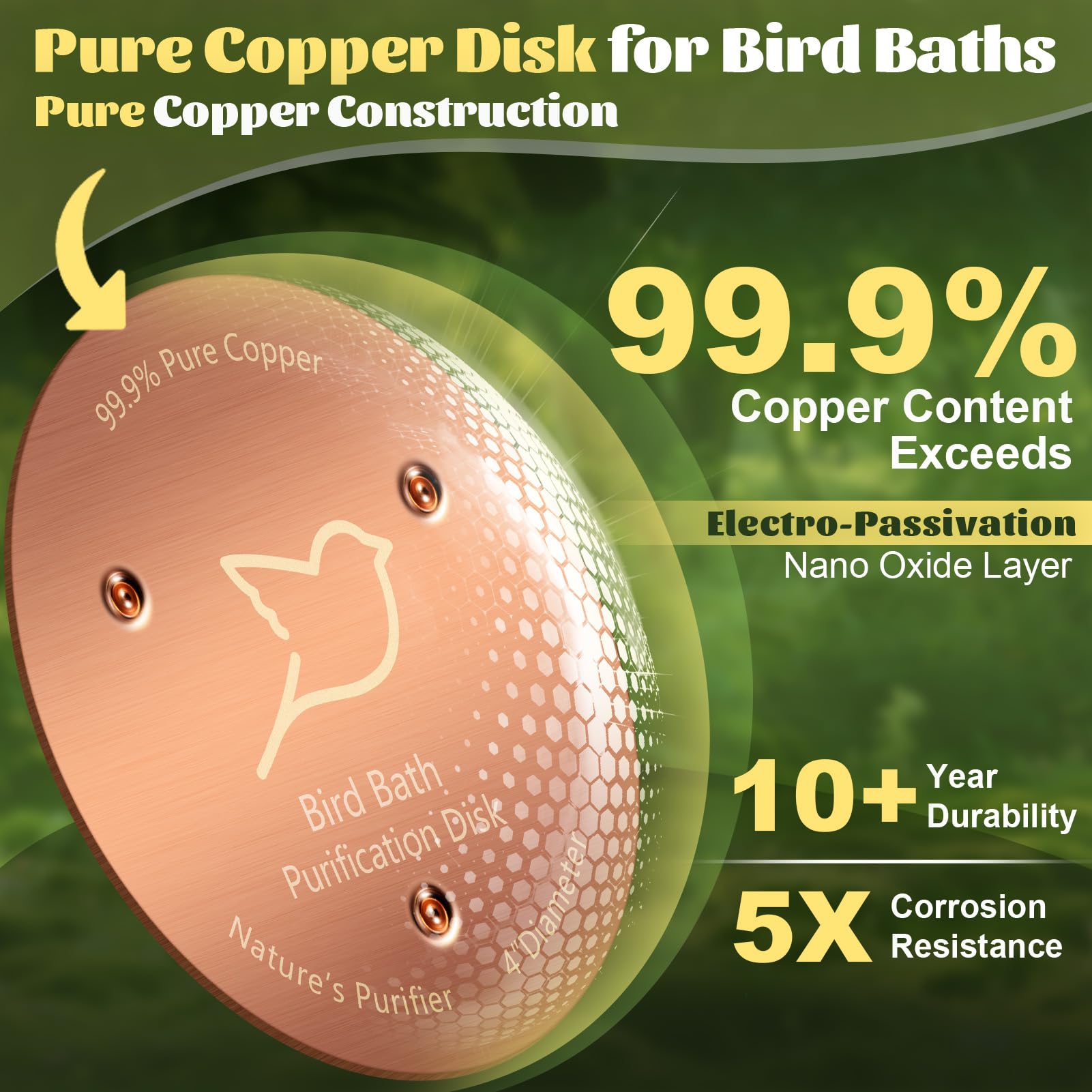POUMEE 0.6mm Copper Disk in a birdbath filled with water
