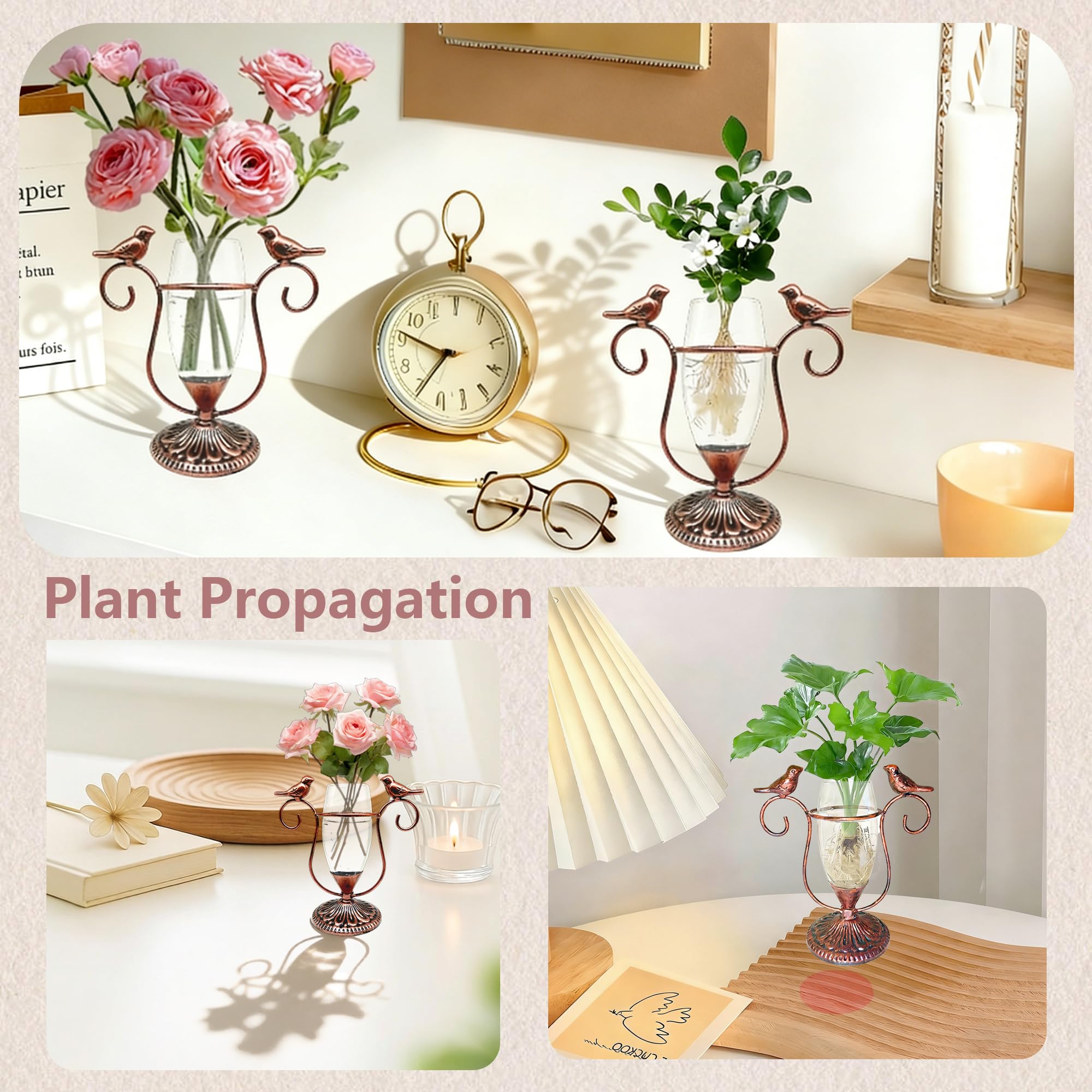POXOHO Desktop Plant Propagation Station in modern interior