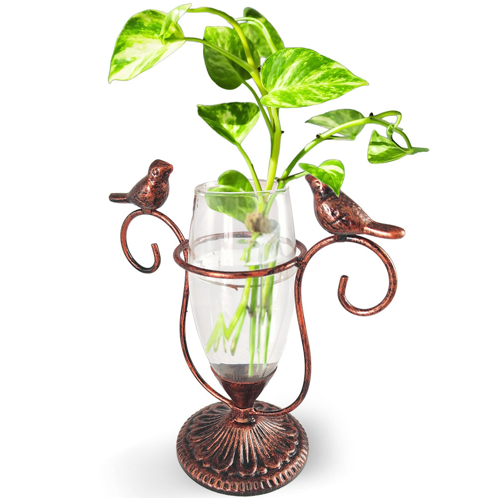 POXOHO Desktop Plant Propagation Station with copper hummingbirds and glass tube