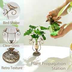 POXOHO Glass Propagation Vase styled on a windowsill