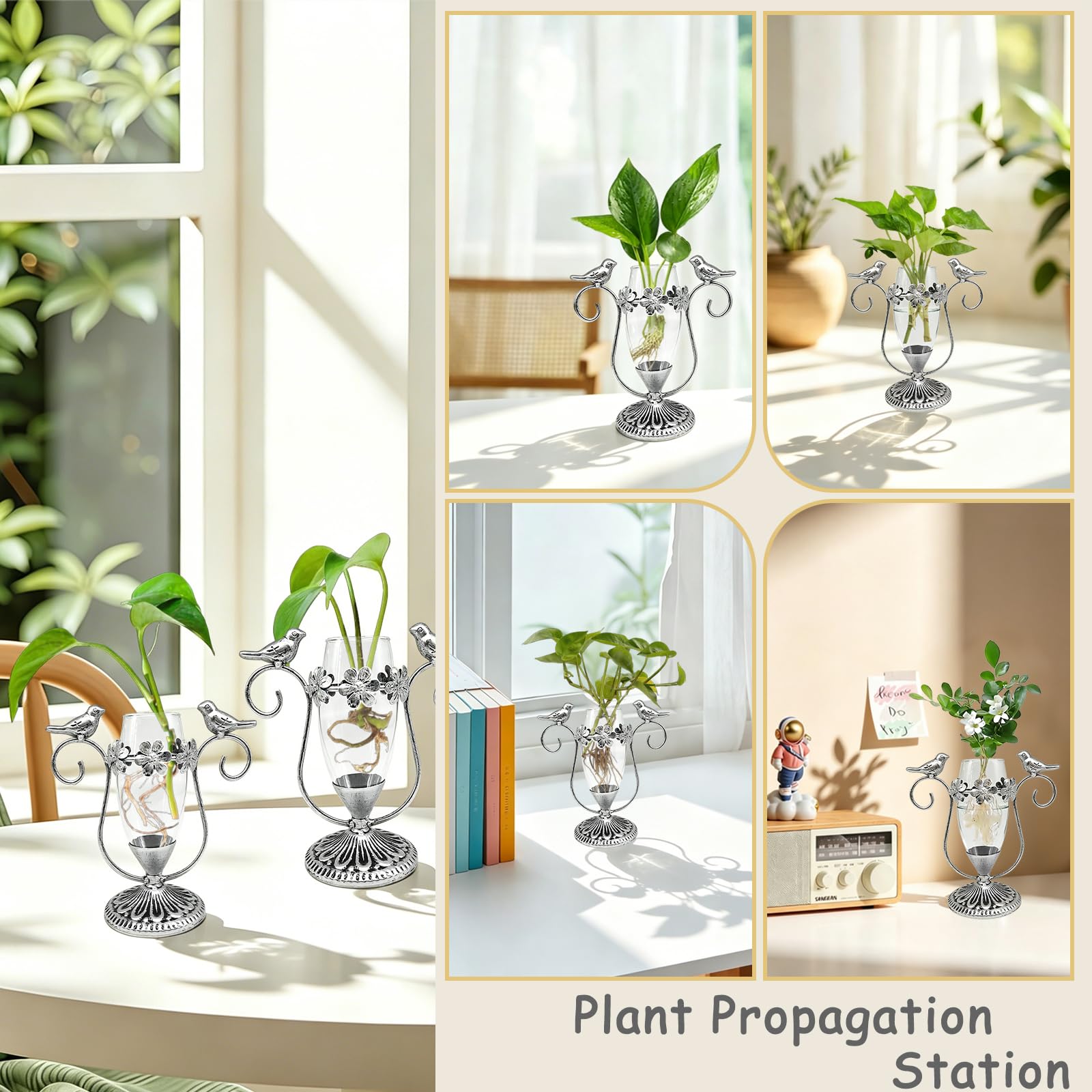 POXOHO Plant Propagation Station displayed on a desk with plants around
