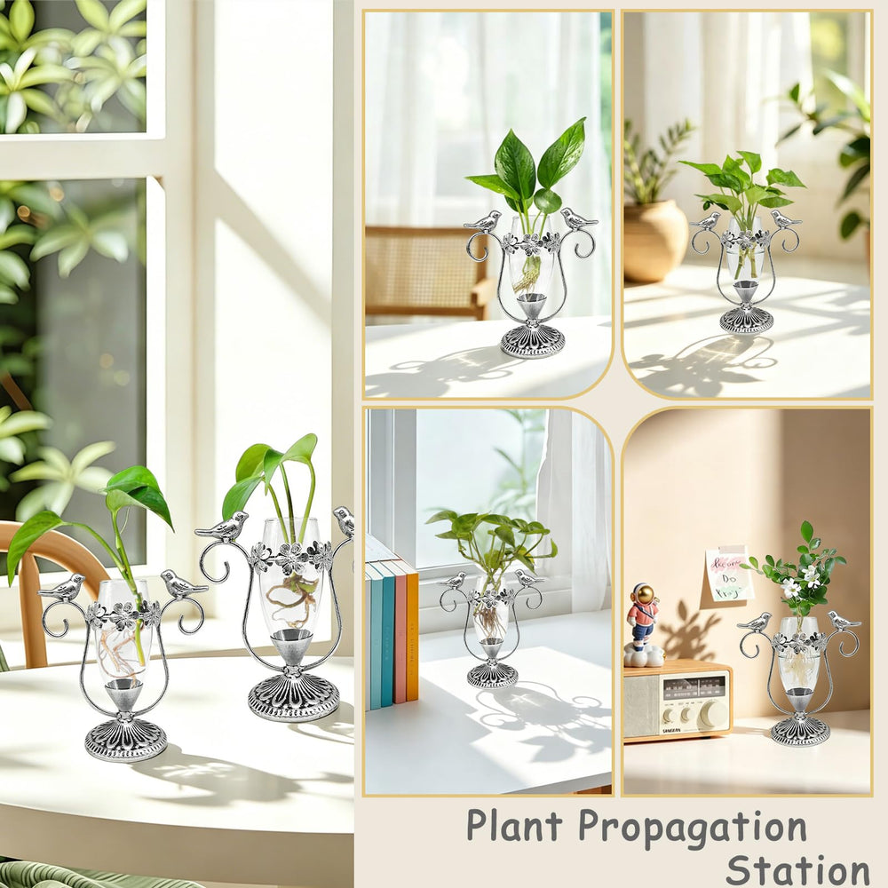 POXOHO Plant Propagation Station displayed on a desk with plants around