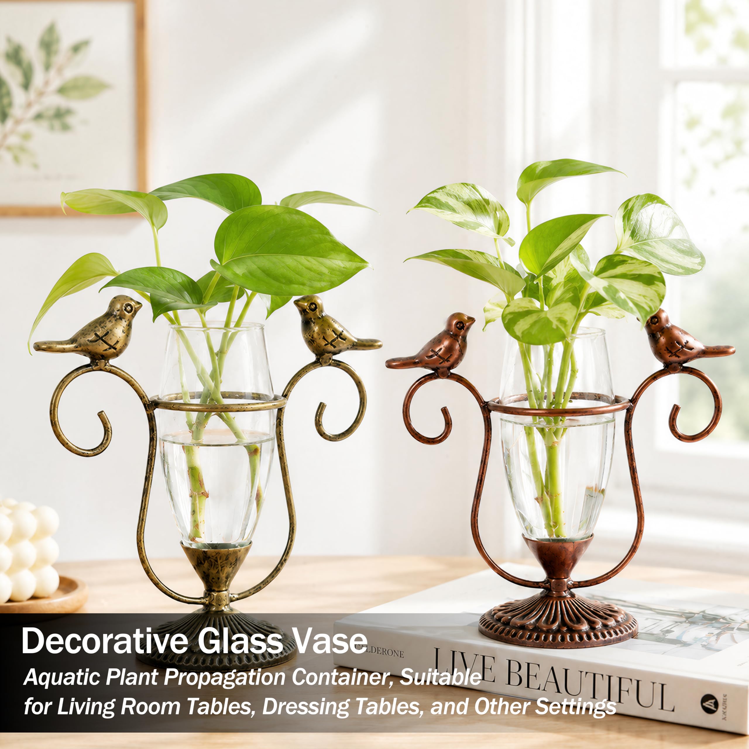 POXOHO plant propagation vase set, bronze and gold models