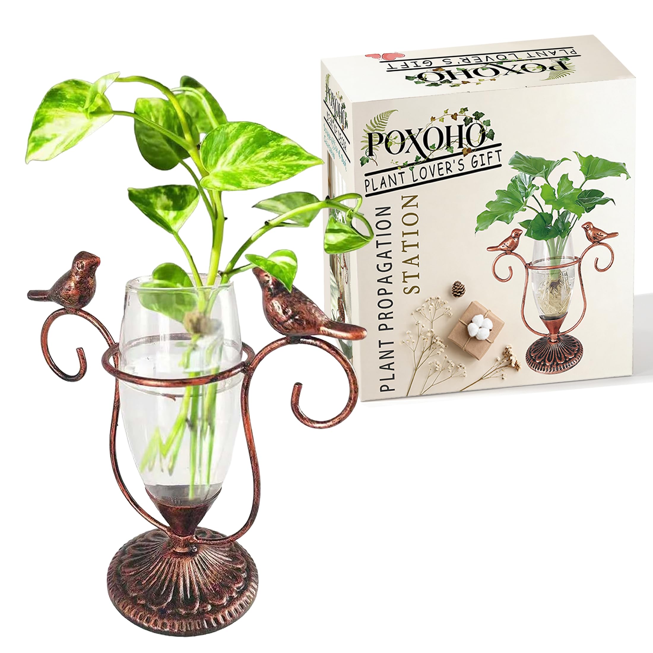 POXOHO propagation station with clear glass tube and flowers