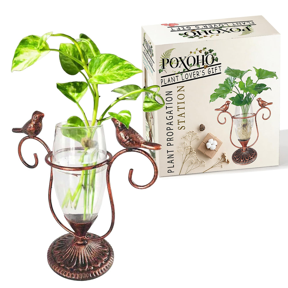 POXOHO propagation station with clear glass tube and flowers