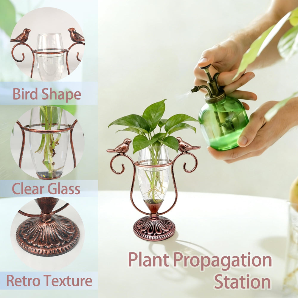POXOHO propagation station with plant cuttings in glass tube